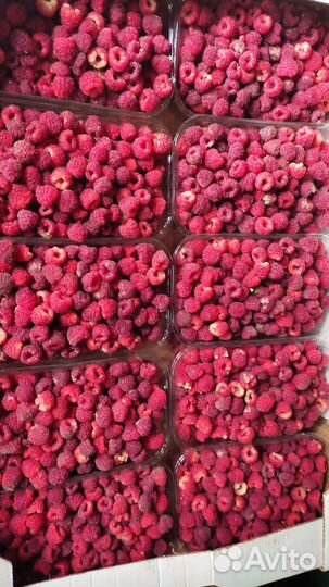 Малина ягода