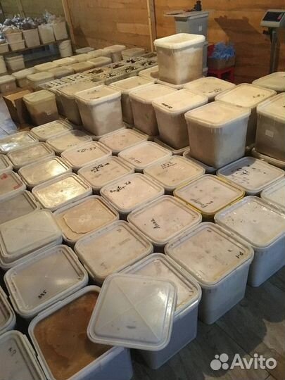 Свежий таежный мед оптом