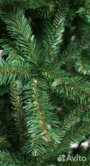 Ель под живую