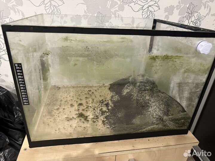 Аквариум 100л бу