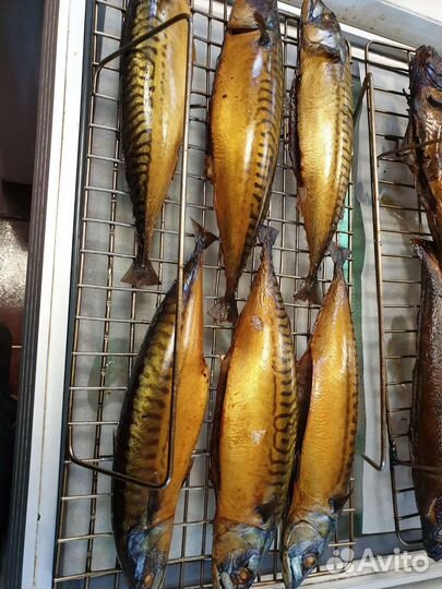 Рыба горячего копчения