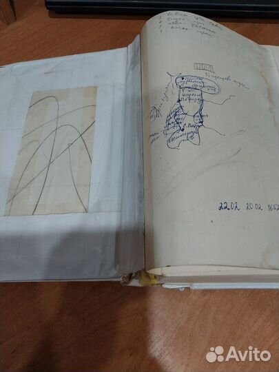 Атлас анатомии человека синельников