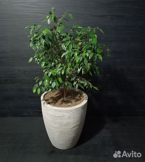 Горшки, Вазоны, Кашпо под заказ из бетона арт 174