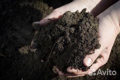 Почва, Чернозем, плодородный грунт