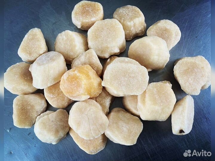 Краб, Креветка, Гребешок