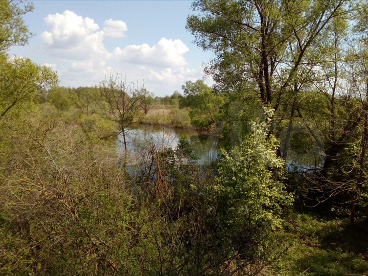 Участок 52 сот. (ИЖС)