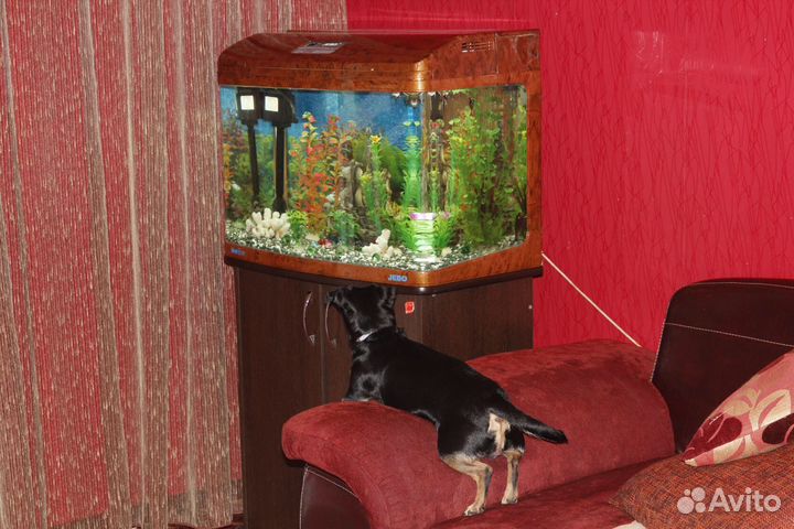 Продам аквариум б/у на 140 литров и тумбу