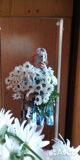 Малиновое дерево Таруса