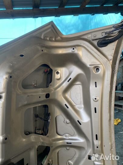 Крышка багажника nissan teana j31