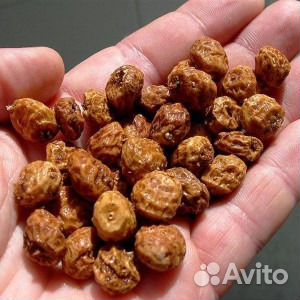 Чуфа-земляной орех со вкусом миндаля