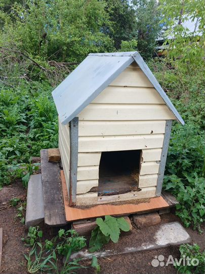 Будки для собак
