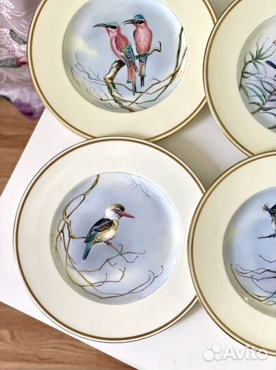 Wedgwood тарелки с птицами, ручная роспись, Англия