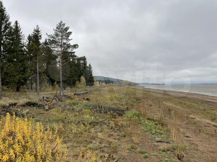 Участок 6 сот. (СНТ, ДНП)