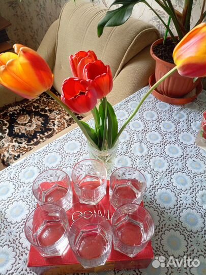 Набор стаканов танго 6 шт