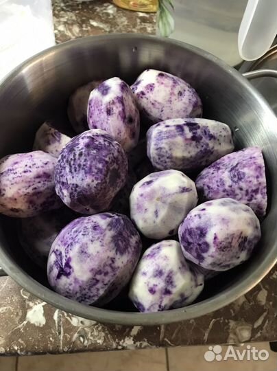 Картофель семенной синий(антоциановый)