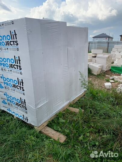 Ппеноблок 600 200 300