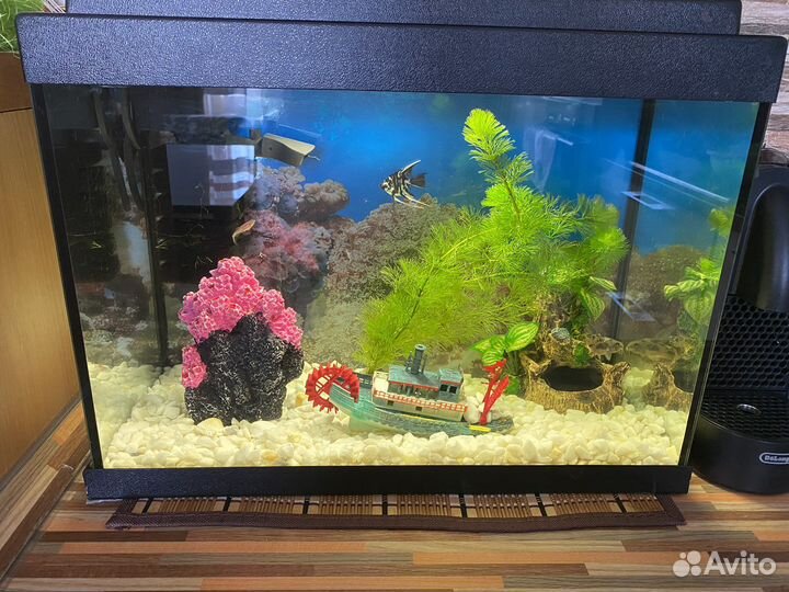 Аквариум