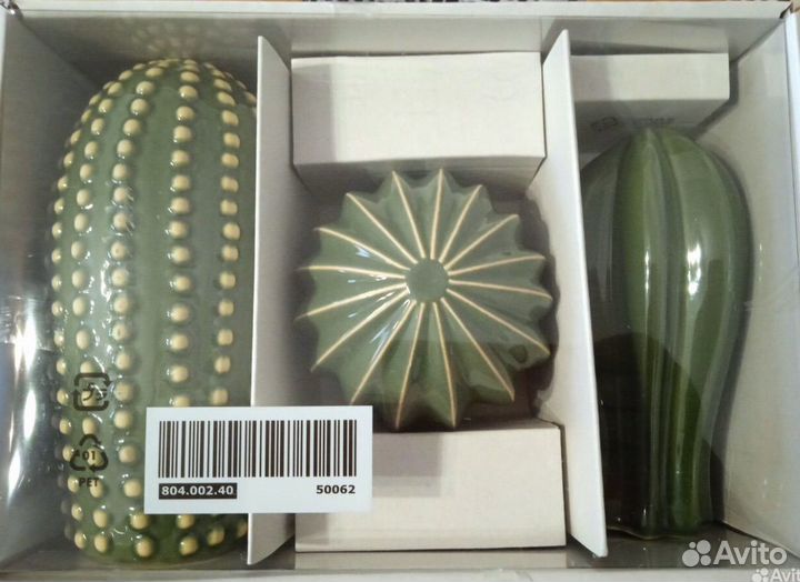 Кактусы IKEA