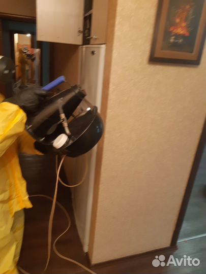 Уничтожение клопов тараканов блох муравьев клещей