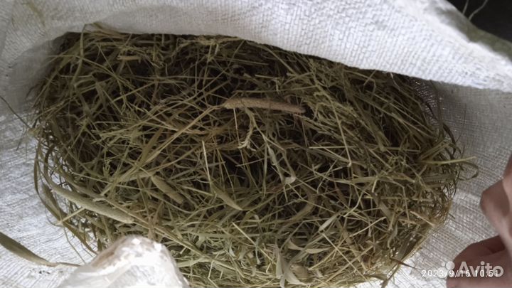 Сено в мешках