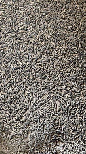 Корма для всех. Видов животных