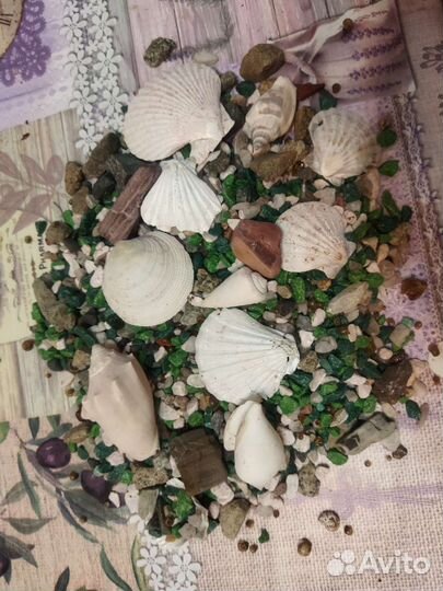 Ракушки и камешки для аквариума