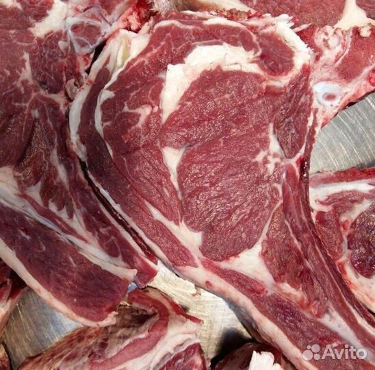 Продам мясо говядина
