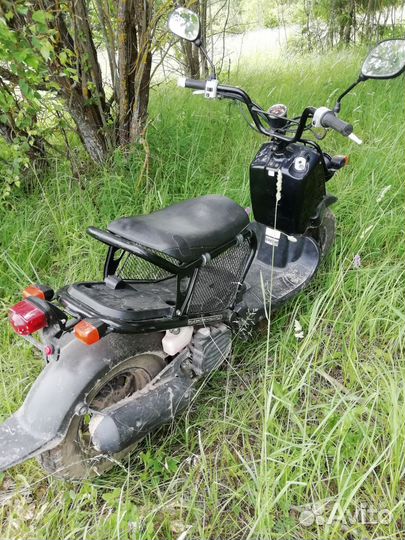 Honda zoomer