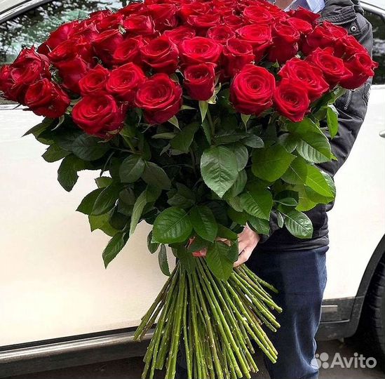 Высокие розы Гигантские Розы 150 160 170 180 190см