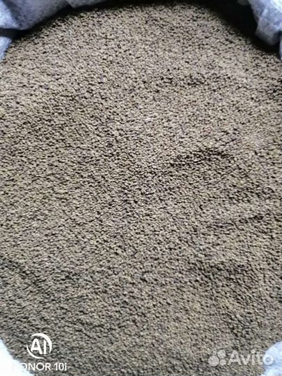 Семена люцерна