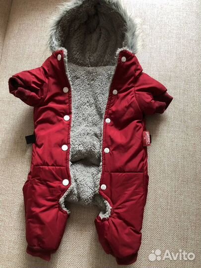 Комбинезон для собаки