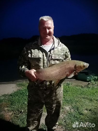 Живая рыба Рыбалка от1кг до1,5кг
