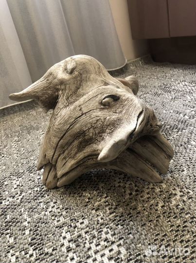 Коряга