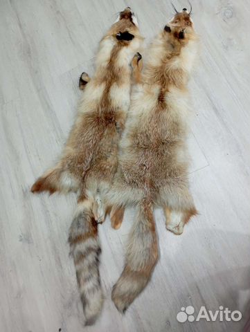 Шкуры лисы