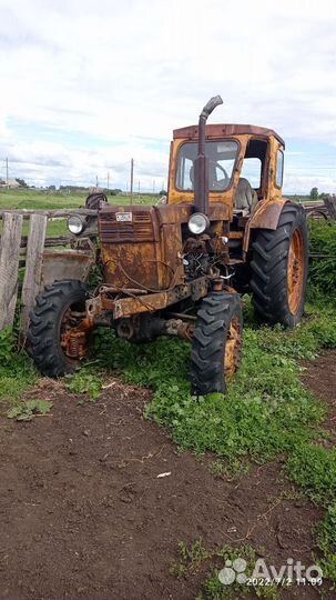 Трактор ЛТЗ Т-40, 2024