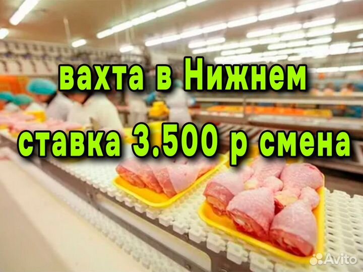 Разнорабочий на птицефабрику