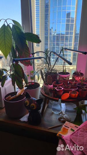 Фито лампа для растений на прищепке