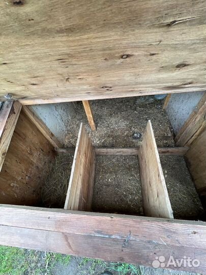 Курятник для кур