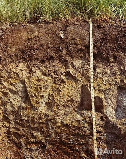 Суглинок для уплотнения вашего участка. Art:5/00