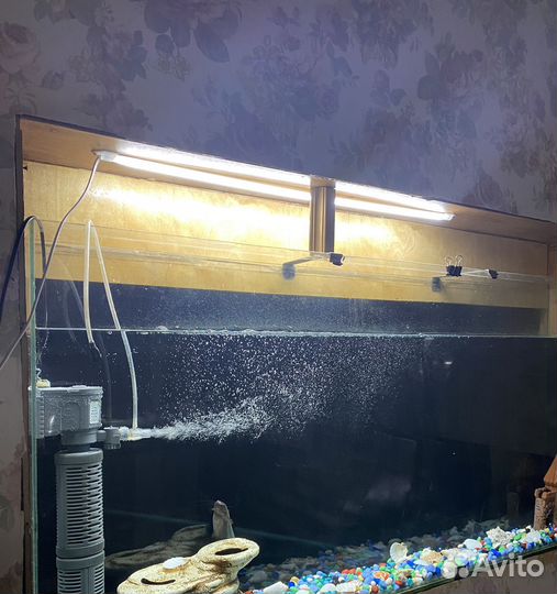 Аквариум с рыбками