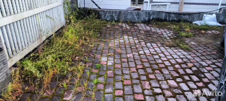 Газон без сорняков