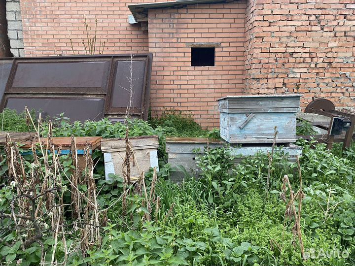 Ульи для пчел