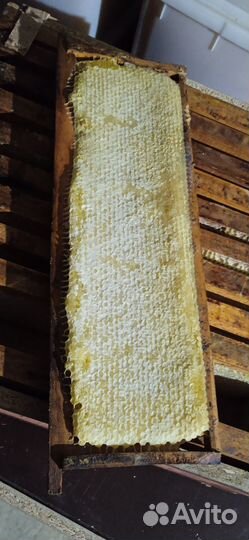 Сотовый мед кристализованый