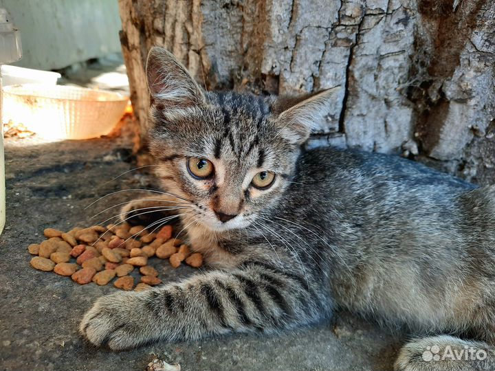 Заберите ребёнка домой