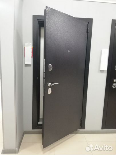 Эко Дверь входная