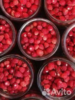 Земляника лесная