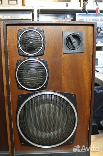 Акустика Radiotehnika S 90