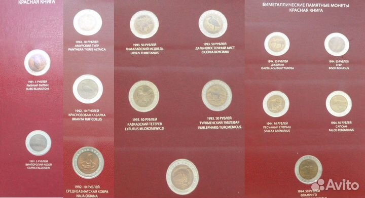 Красная книга, 300 лет Флоту, 50 лет Победы