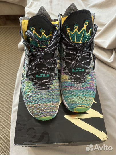 Баскетбольные кроссовки Nike Lebron 17 I promise