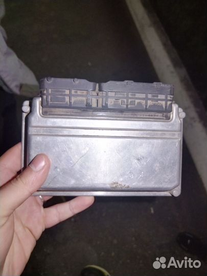 Эбу январь 7.2 124 (мозги)